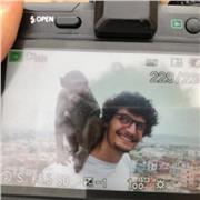 Studente di Lettere Moderne offre lezioni 10€/ora